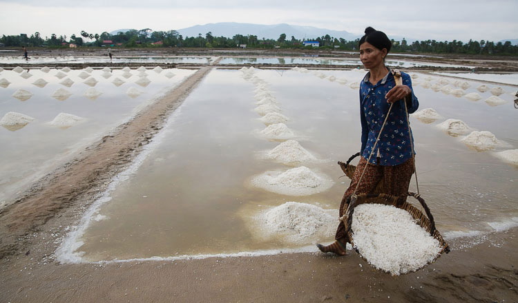 Kampot salt production up in 2024